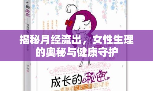 揭秘月經流出，女性生理的奧秘與健康守護