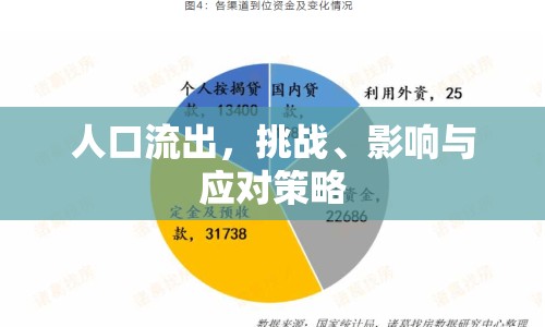 人口流出，挑戰(zhàn)、影響與應(yīng)對(duì)策略