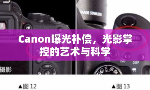 Canon曝光補償，光影掌控的藝術與科學