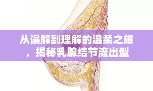 從誤解到理解的溫柔之旅，揭秘乳腺結(jié)節(jié)流出型