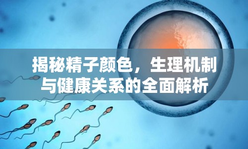 揭秘精子顏色，生理機制與健康關(guān)系的全面解析