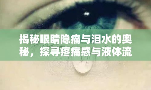 揭秘眼睛隱痛與淚水的奧秘，探尋疼痛感與液體流出的關聯(lián)