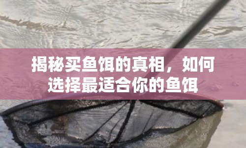 揭秘買魚餌的真相，如何選擇最適合你的魚餌