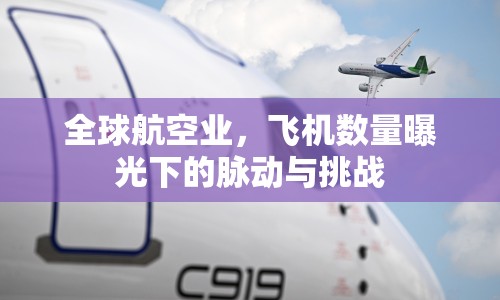 全球航空業(yè)，飛機(jī)數(shù)量曝光下的脈動(dòng)與挑戰(zhàn)