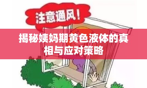 揭秘姨媽期黃色液體的真相與應(yīng)對策略