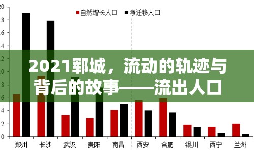 2021鄆城，流動的軌跡與背后的故事——流出人口現(xiàn)象探析