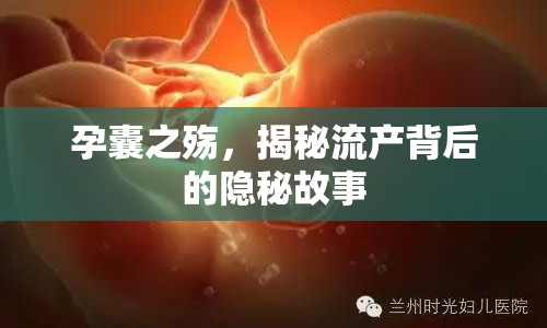 孕囊之殤，揭秘流產(chǎn)背后的隱秘故事