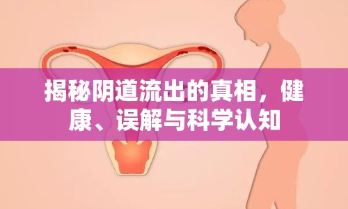 揭秘陰道流出的真相，健康、誤解與科學(xué)認(rèn)知