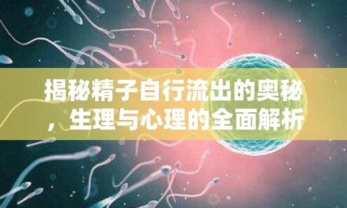 揭秘精子自行流出的奧秘，生理與心理的全面解析