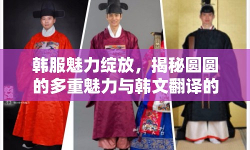 韓服魅力綻放，揭秘圓圓的多重魅力與韓文翻譯的獨特韻味