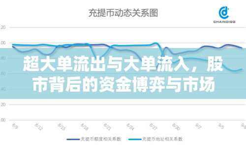 超大單流出與大單流入，股市背后的資金博弈與市場動態(tài)