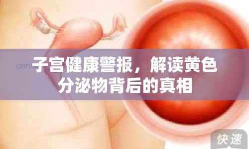 子宮健康警報，解讀黃色分泌物背后的真相