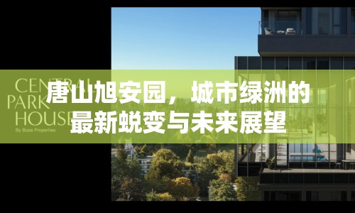 唐山旭安園，城市綠洲的最新蛻變與未來(lái)展望