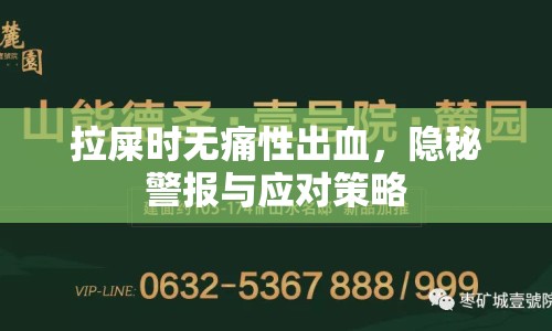 拉屎時無痛性出血，隱秘警報與應(yīng)對策略