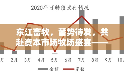 東江畜牧，蓄勢待發(fā)，共赴資本市場牧場盛宴——最新上市動態(tài)深度解析