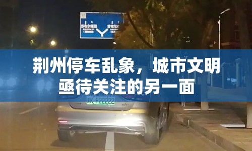 荊州停車亂象，城市文明亟待關(guān)注的另一面