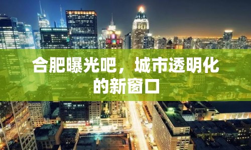 合肥曝光吧，城市透明化的新窗口