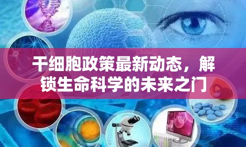 干細胞政策最新動態(tài)，解鎖生命科學的未來之門