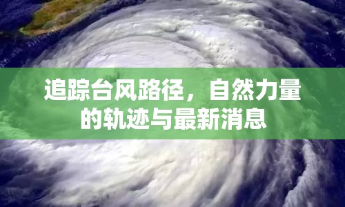 追蹤臺(tái)風(fēng)路徑，自然力量的軌跡與最新消息