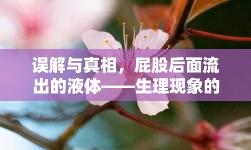 誤解與真相，屁股后面流出的液體——生理現(xiàn)象的真相揭秘