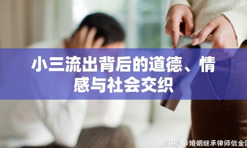 小三流出背后的道德、情感與社會(huì)交織