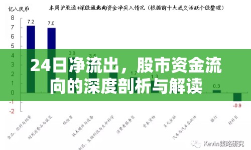 24日凈流出，股市資金流向的深度剖析與解讀