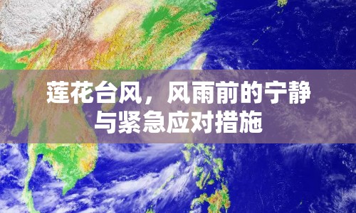 蓮花臺(tái)風(fēng)，風(fēng)雨前的寧?kù)o與緊急應(yīng)對(duì)措施