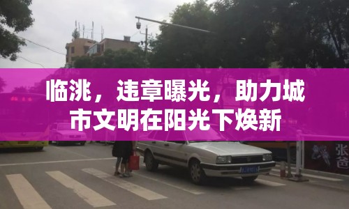 臨洮，違章曝光，助力城市文明在陽光下煥新