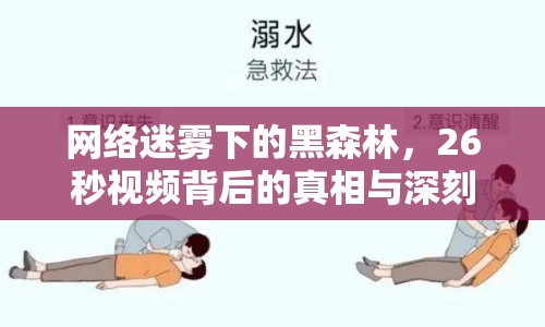 網絡迷霧下的黑森林，26秒視頻背后的真相與深刻反思