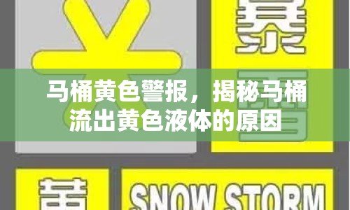 馬桶黃色警報，揭秘馬桶流出黃色液體的原因