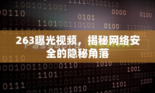 263曝光視頻，揭秘網絡安全的隱秘角落