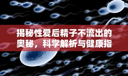 揭秘性愛后精子不流出的奧秘，科學(xué)解析與健康指南