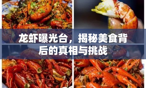 龍蝦曝光臺(tái)，揭秘美食背后的真相與挑戰(zhàn)