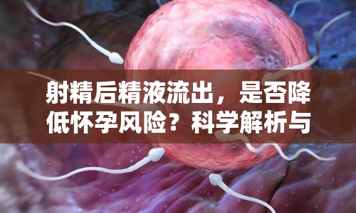 射精后精液流出，是否降低懷孕風(fēng)險？科學(xué)解析與避孕知識