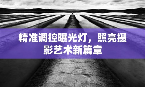 精準調控曝光燈，照亮攝影藝術新篇章