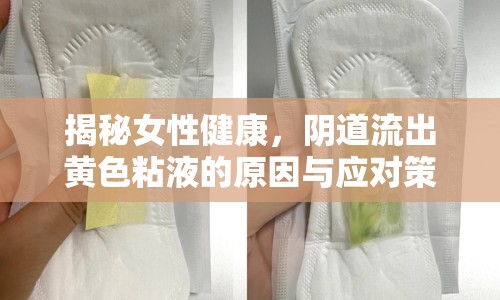 揭秘女性健康，陰道流出黃色粘液的原因與應對策略