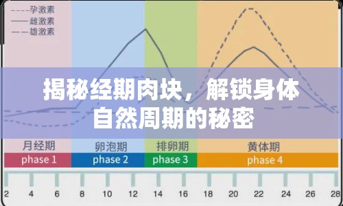 揭秘經(jīng)期肉塊，解鎖身體自然周期的秘密