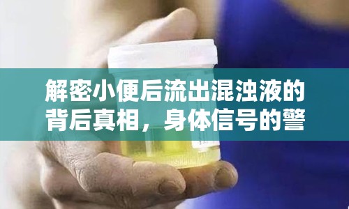 解密小便后流出混濁液的背后真相，身體信號(hào)的警示