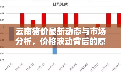 云南豬價最新動態(tài)與市場分析，價格波動背后的原因與趨勢