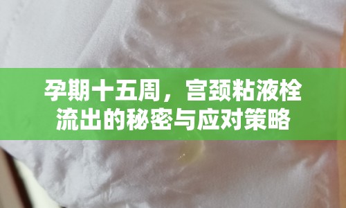 孕期十五周，宮頸粘液栓流出的秘密與應(yīng)對策略