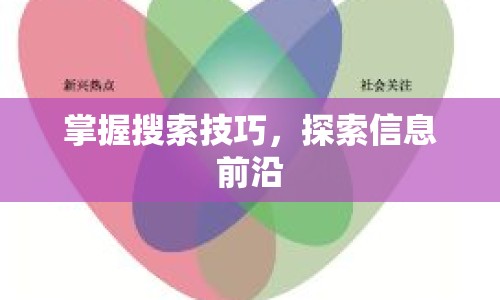 掌握搜索技巧，探索信息前沿