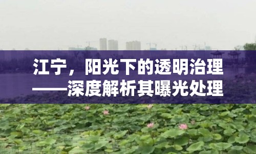 江寧，陽光下的透明治理——深度解析其曝光處理機(jī)制與成效