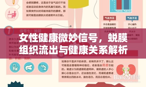 女性健康微妙信號，蛻膜組織流出與健康關(guān)系解析