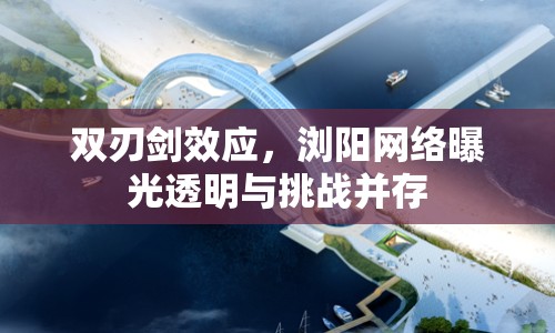 雙刃劍效應，瀏陽網(wǎng)絡曝光透明與挑戰(zhàn)并存