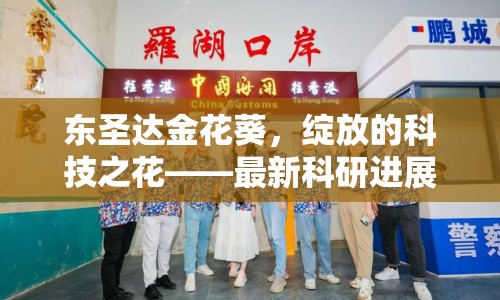 東圣達金花葵，綻放的科技之花——最新科研進展與市場動態(tài)深度解析