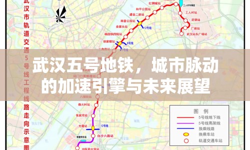 武漢五號地鐵，城市脈動的加速引擎與未來展望