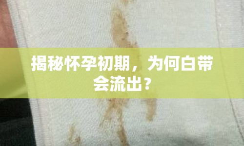 揭秘懷孕初期，為何白帶會流出？