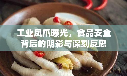 工業(yè)鳳爪曝光，食品安全背后的陰影與深刻反思