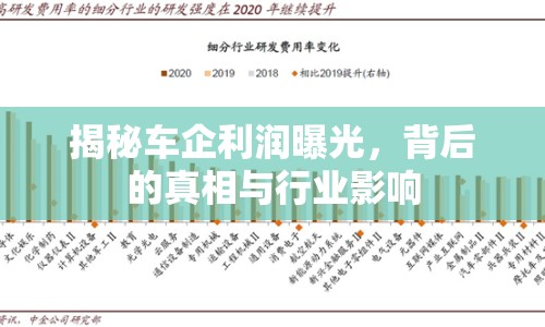 揭秘車企利潤曝光，背后的真相與行業(yè)影響