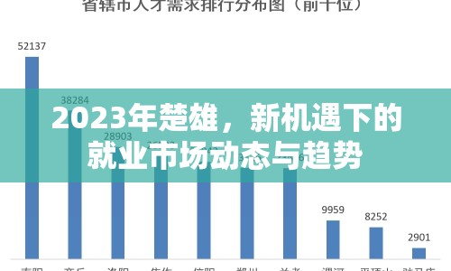 2023年楚雄，新機(jī)遇下的就業(yè)市場(chǎng)動(dòng)態(tài)與趨勢(shì)